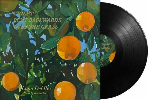 LP plošča Lana Del Rey - Violet Bent Backwards Over (LP) - 2