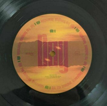 Vinyl Record Parcels - Day/Night (2 LP) - 3