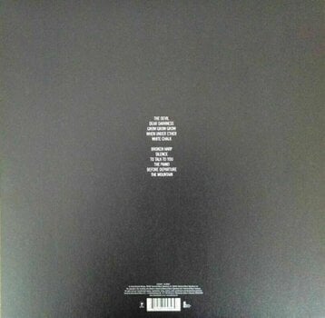 Płyta winylowa PJ Harvey - White Chalk (LP) - 5