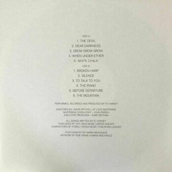 Schallplatte PJ Harvey - White Chalk - Demos (LP) - 6