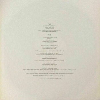 Δίσκος LP PJ Harvey & John Parish - Dance Hall At Louse Point (LP) - 5