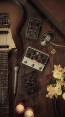 Guitar Effect Beetronics Swarm Guitar Effect - 7