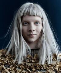 Disc de vinil Aurora ( Singer ) - The Gods We Can Touch (2 LP) - 2