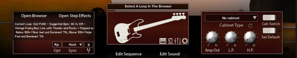 Sound Library für Sampler Audiofier Riffendium Bass Vol. 1 (Digitales Produkt) - 3