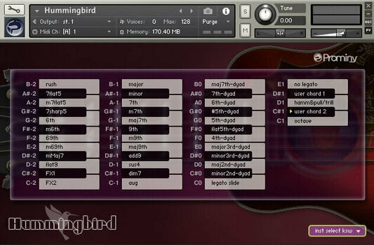 Logiciel de studio Instruments virtuels Prominy Hummingbird (Produit numérique) - 5