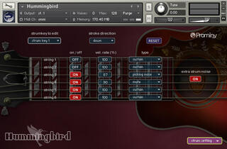 Tonstudio-Software VST-Instrument Prominy Hummingbird (Digitales Produkt) - 1