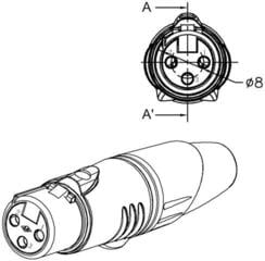 XLR-Stecker Enova XL23FB XLR-Stecker - 5