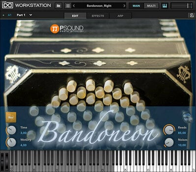 VST Instrument Studio programvara PSound Bandoneon (Digital produkt) - 2