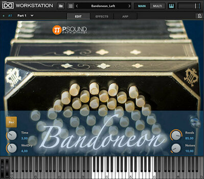 VST Instrument Studio programvara PSound Bandoneon (Digital produkt) - 3