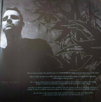 Vinylskiva Anaal Nathrakh - In the Constellation of the Black Widow (Reissue) (LP) - 5