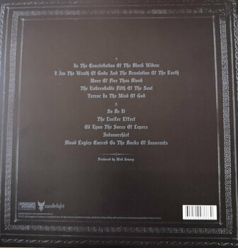 LP deska Anaal Nathrakh - In the Constellation of the Black Widow (Reissue) (LP) - 6