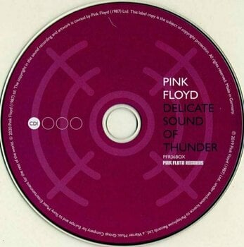 Hudební CD Pink Floyd - Delicate Sound Of Thunder (Remixed) (2 CD) - 2