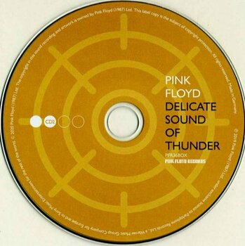 CD диск Pink Floyd - Delicate Sound Of Thunder (Remixed) (2 CD) - 6