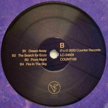 Vinyl Record The Midnight - Monsters (Purple Coloured)  (2 LP) - 3