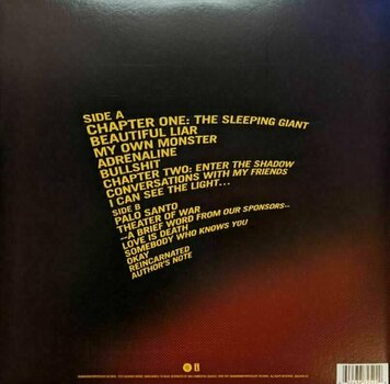 Грамофонна плоча X Ambassadors - The Beautiful Liar (LP) - 4