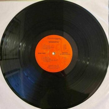 Schallplatte Circle Jerks - Wonderful (LP) - 3