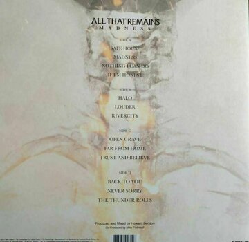 Vinyl Record All That Remains Madness (2 LP) - 6