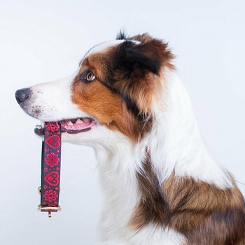 Guler FolkPets Folklorika Guler Red L Guler - 4