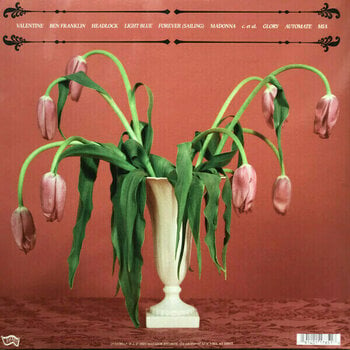 Vinyylilevy Snail Mail - Valentine (LP) - 4