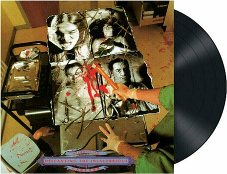 Vinylskiva Carcass - Necroticism - Descanting The Insalubrious (LP) - 2