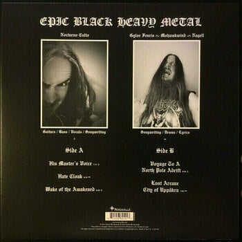 Disque vinyle Darkthrone - Eternal Hails (LP) - 4