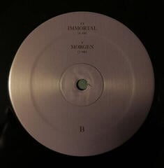 Vinüülplaat Der Weg Einer Freiheit - Noktvrn (2 LP) - 2