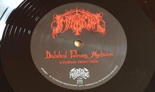 Płyta winylowa Immortal - Diabolical Fullmoon Mysticism (Reissue) (LP) - 3