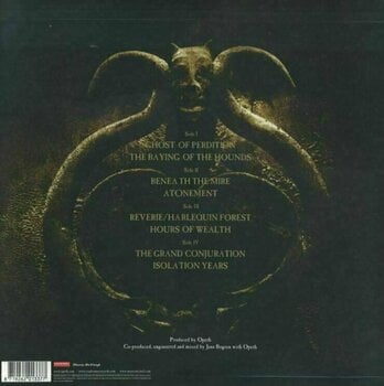 Vinyylilevy Opeth - Ghost Reveries (Black) (2 LP) - 7