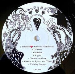 Vinylplate Grimes Visions (LP) - 2