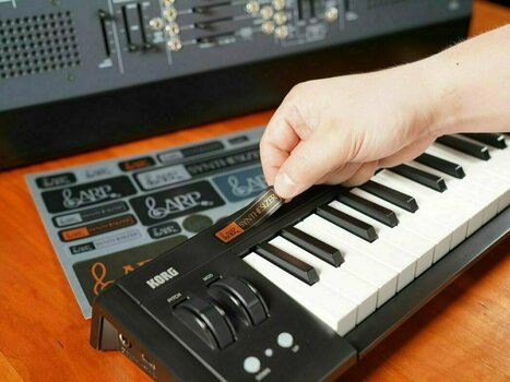 Synthesizer Korg ARP2600 M - 12
