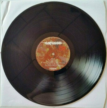 Disque vinyle Carcass - Choice Cuts (2 LP) - 2