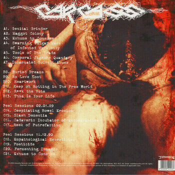 LP platňa Carcass - Choice Cuts (2 LP) - 6