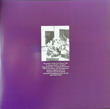 Vinyl Record Echo & The Bunnymen - Ocean Rain (LP) - 2