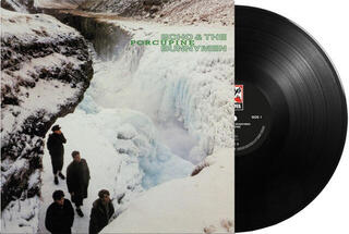Schallplatte Echo & The Bunnymen - Porcupine (LP) - 4