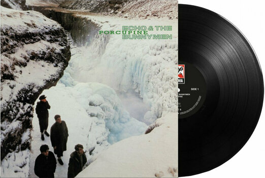 Vinyl Record Echo & The Bunnymen - Porcupine (LP) - 5