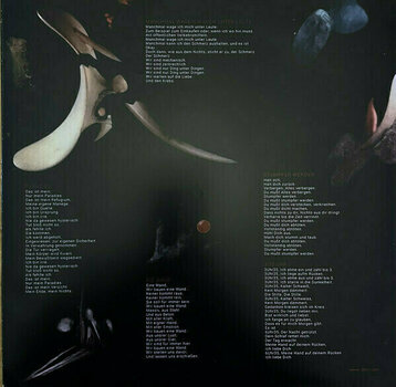 Vinyylilevy Gewalt - Paradies (LP) - 6