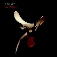 LP platňa Gewalt - Paradies (2 LP) - 5