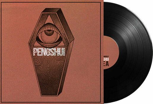 Disc de vinil Pengshui - Destroy Yourself (LP) - 2