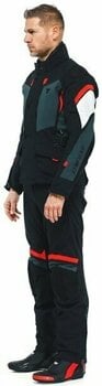 Textile Jacket Dainese Carve Master 3 Gore-Tex Black/Ebony/Lava Red 50 Textile Jacket - 4