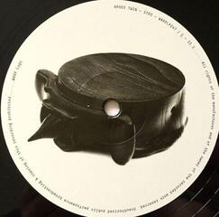 Δίσκος LP Aphex Twin - Syro (3 LP) - 4