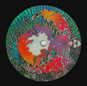 Vinyl Record Psychedelic Research Lab - Tarenah (LP) - 3