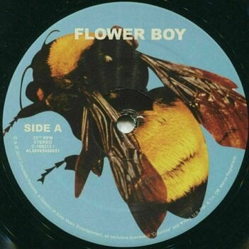 Disque vinyle Tyler The Creator - Scum Fuck Flower Boy (2 LP) - 3