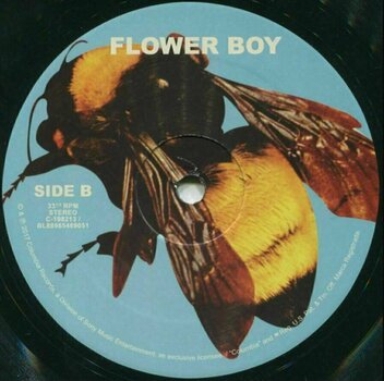 LP deska Tyler The Creator - Scum Fuck Flower Boy (2 LP) - 4