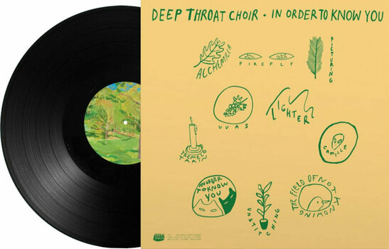 Vinyl Record Deep Throat Choir - In Order To Know You (LP) - 3
