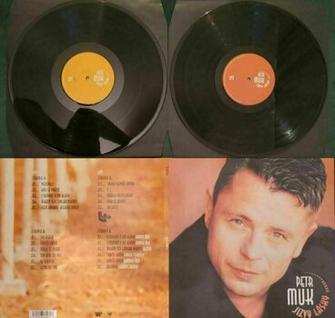 Vinyl Record Petr Muk - Jizvy Lásky (2021) (2 LP) - 2