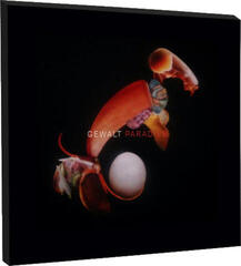 LP platňa Gewalt - Paradies (2 LP) - 6