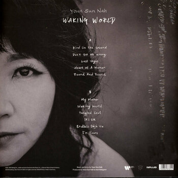 Vinyl Record Youn Sun Nah - Waking World (LP) - 4