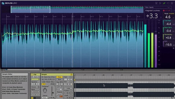 Mastering софтуер Signum Audio BUTE Loudness Analyser 2 (SURROUND) (Дигитален продукт) - 3