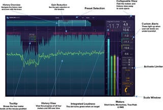 Mastering software Signum Audio BUTE Loudness Suite 2 (SURROUND) (Digitální produkt) - 4