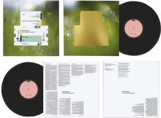 Hanglemez Spiritualized - Everything Was Beautiful (LP) - 2